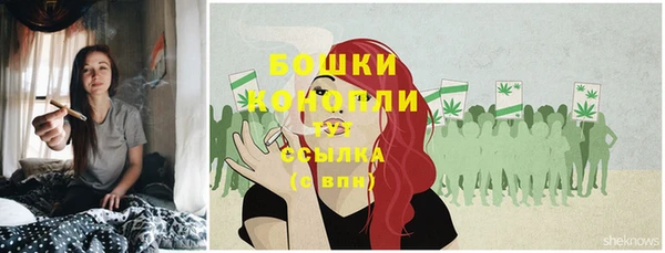 apvp Карпинск