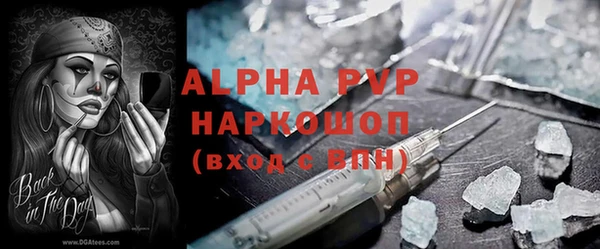 apvp Карпинск