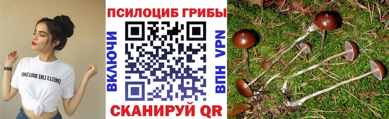 Галлюциногенные грибы MAGIC MUSHROOMS  Купить где  Сосногорск 